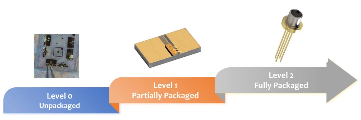 figure-1-packaging-levels-of-light-emitting-devices.jpg figure-1-packaging-levels-of-light-emitting-devices.jpg