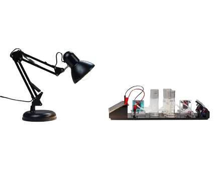 Hydrogen Oxygen Fuel Cell Experiment (Includes Long Arm Light Source)