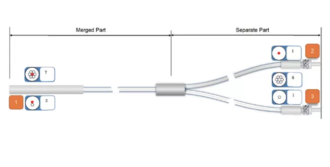 Typical 7-core Y-type fiber structure